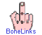 BoneLinks