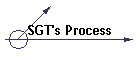 SGT's Process